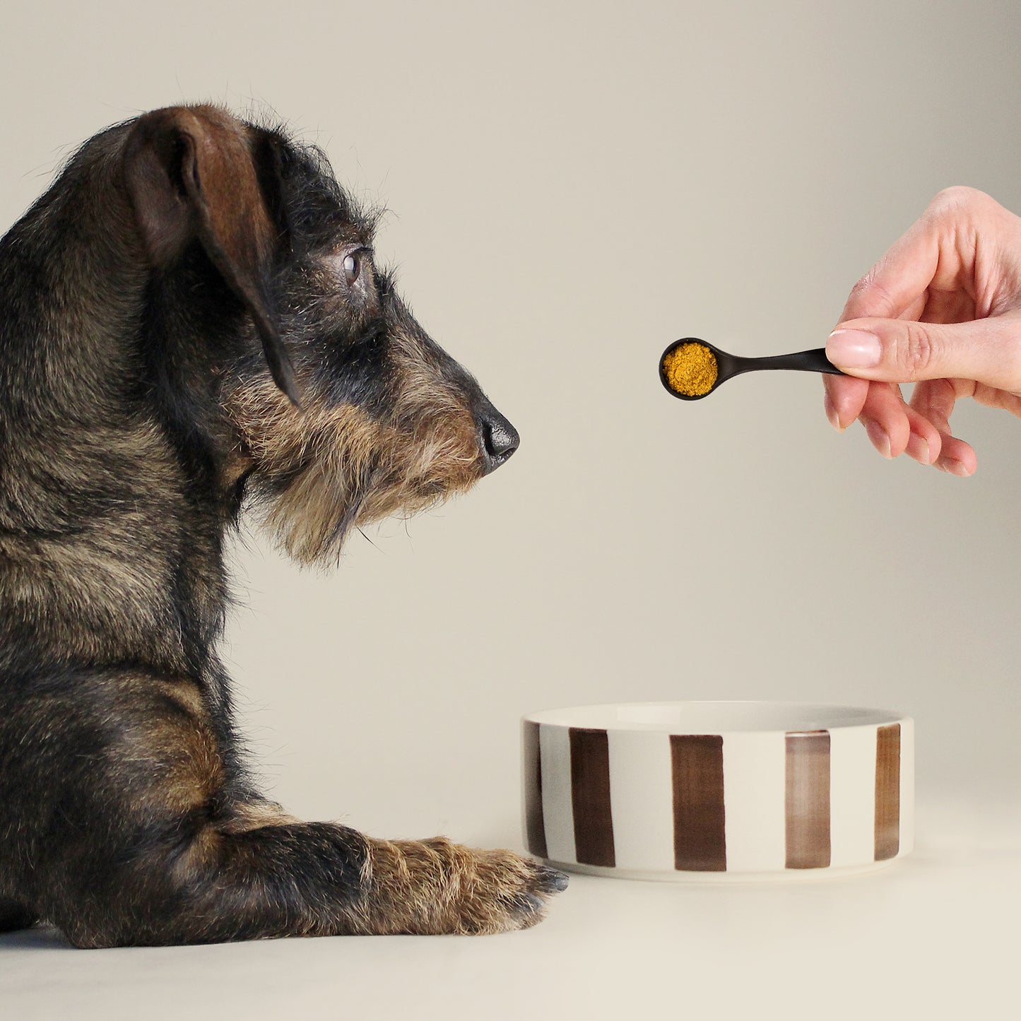 DAILY TOPPING Magen & Darm