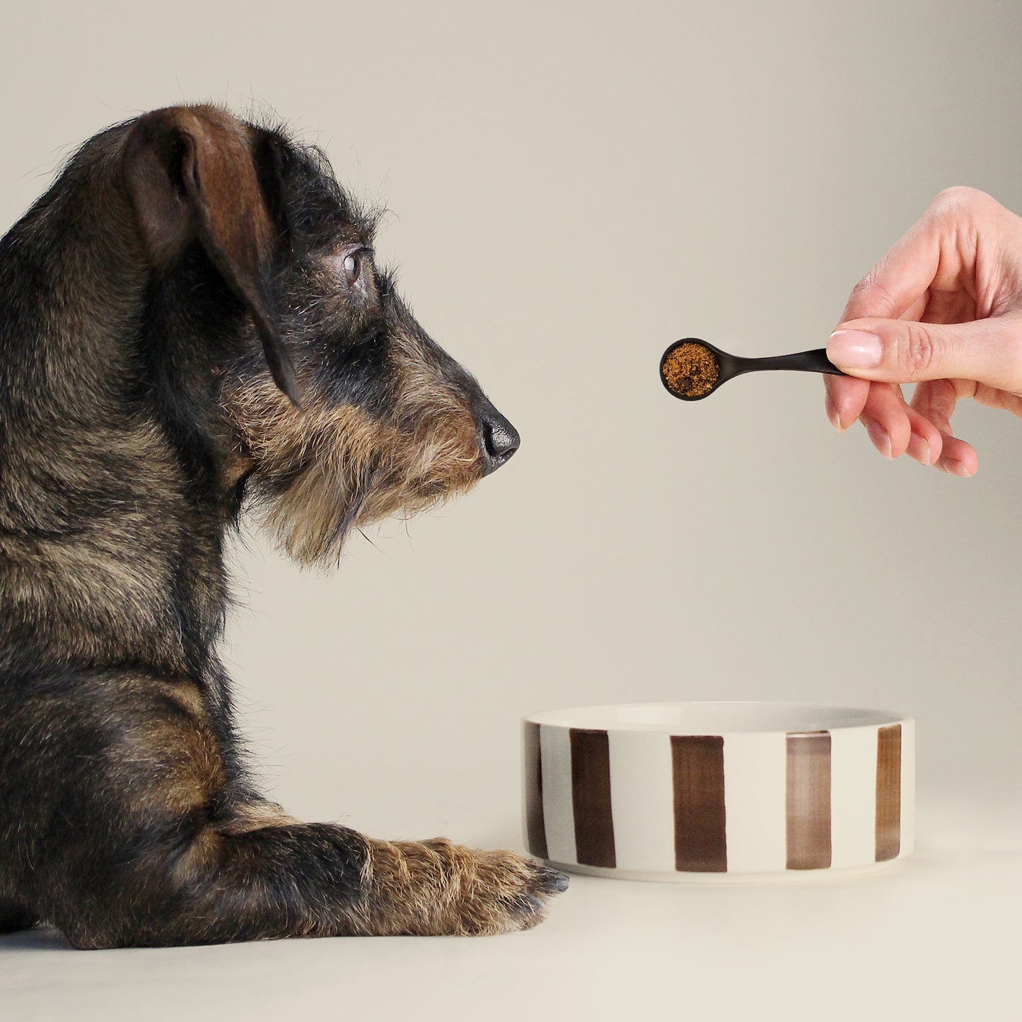 DAILY TOPPING Haut & Fell