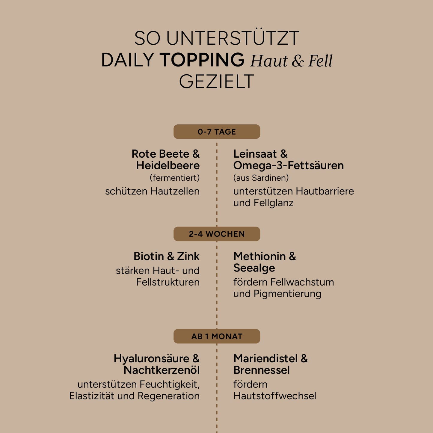 DAILY TOPPING Haut & Fell