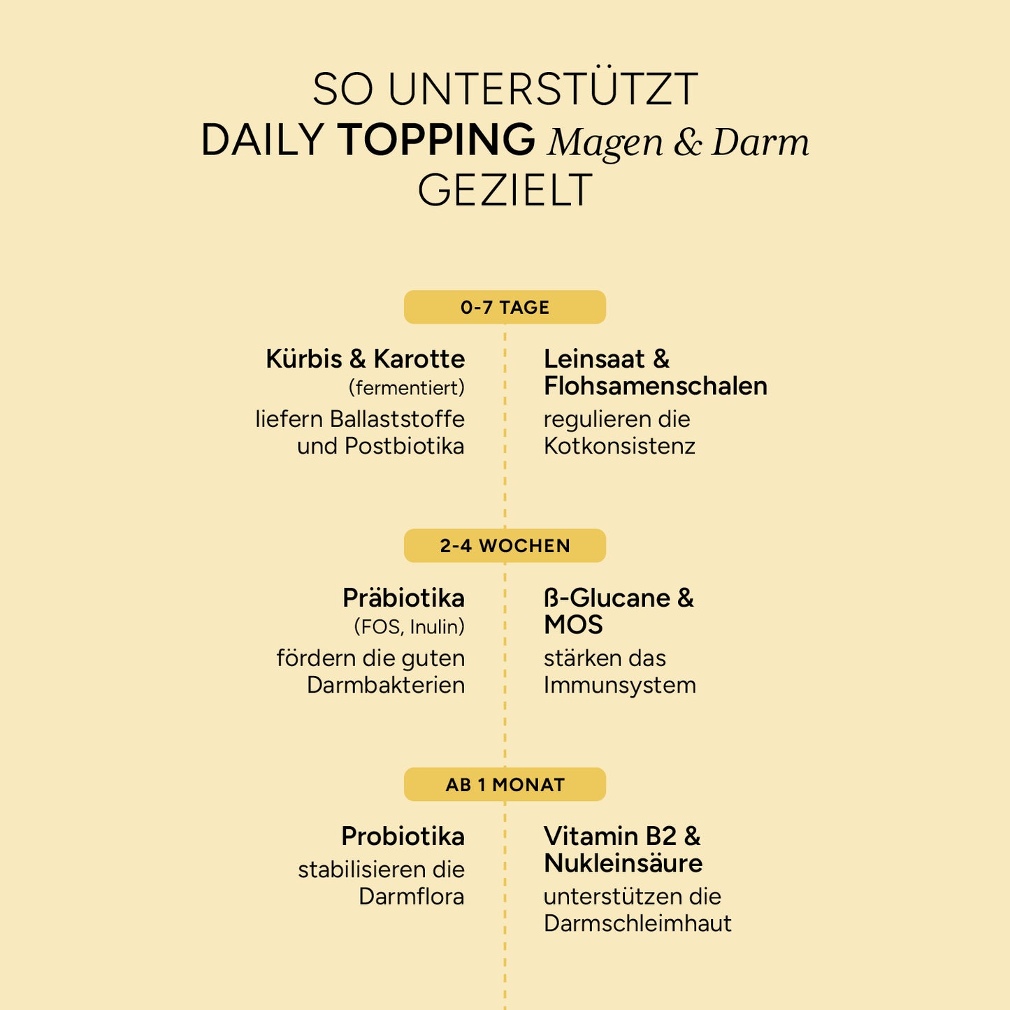 DAILY TOPPING Magen & Darm